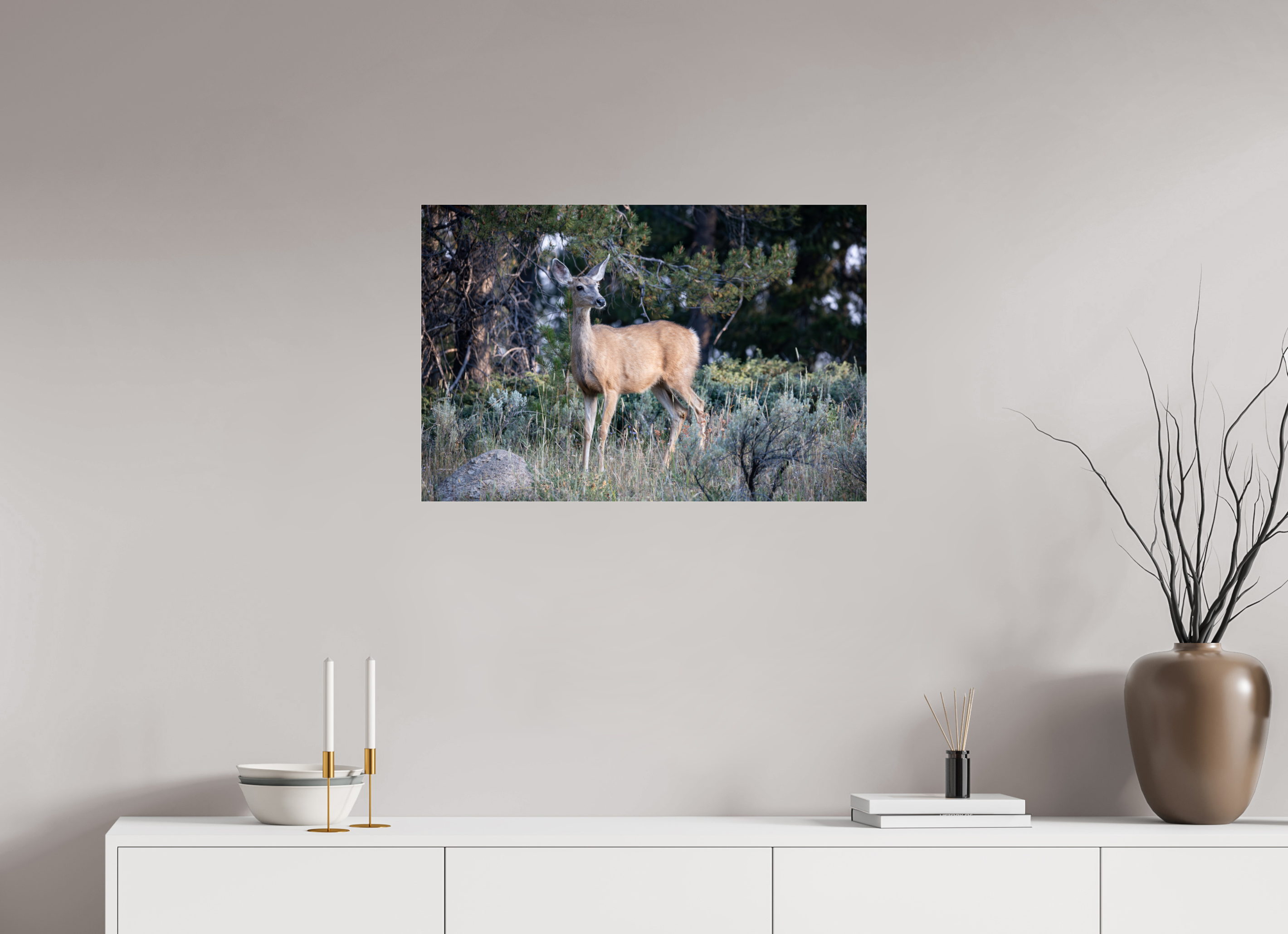 30 x 20″, Glossy Deer