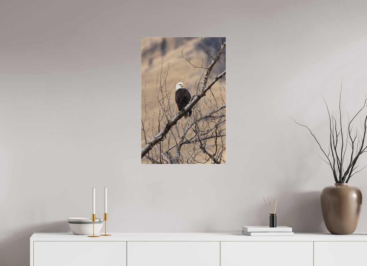 20 x 30″, Matte Glass Eagle