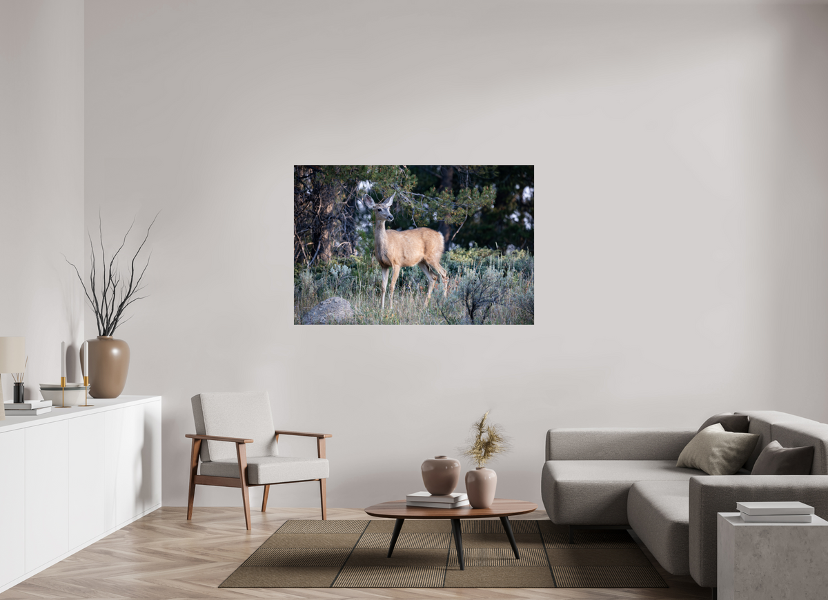60 x 40″, Glossy Deer