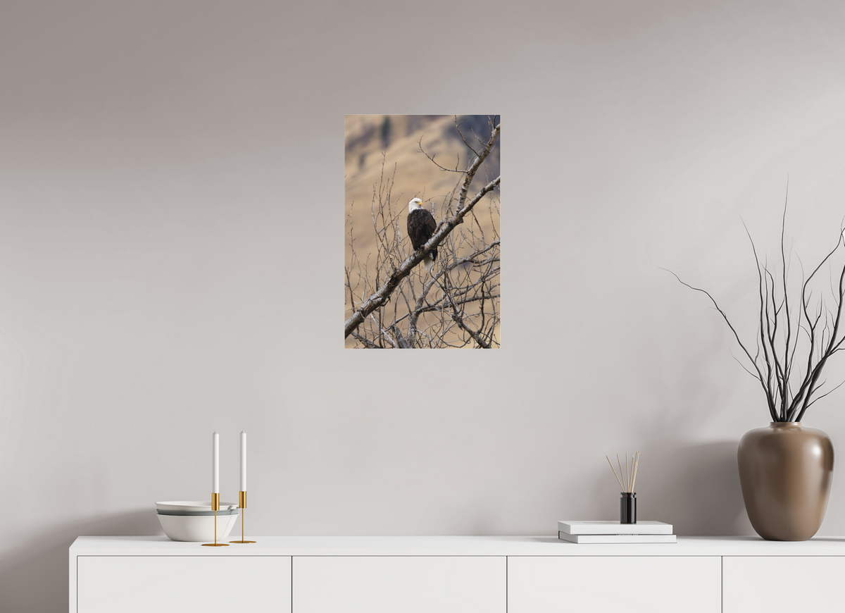 16 x 24″, Matte Glass Eagle
