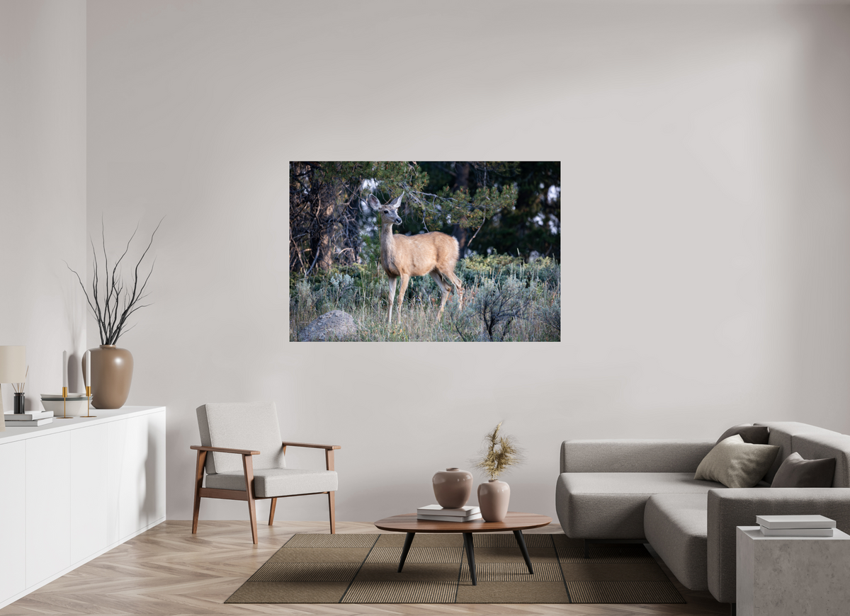 66 x 44″, Glossy Deer