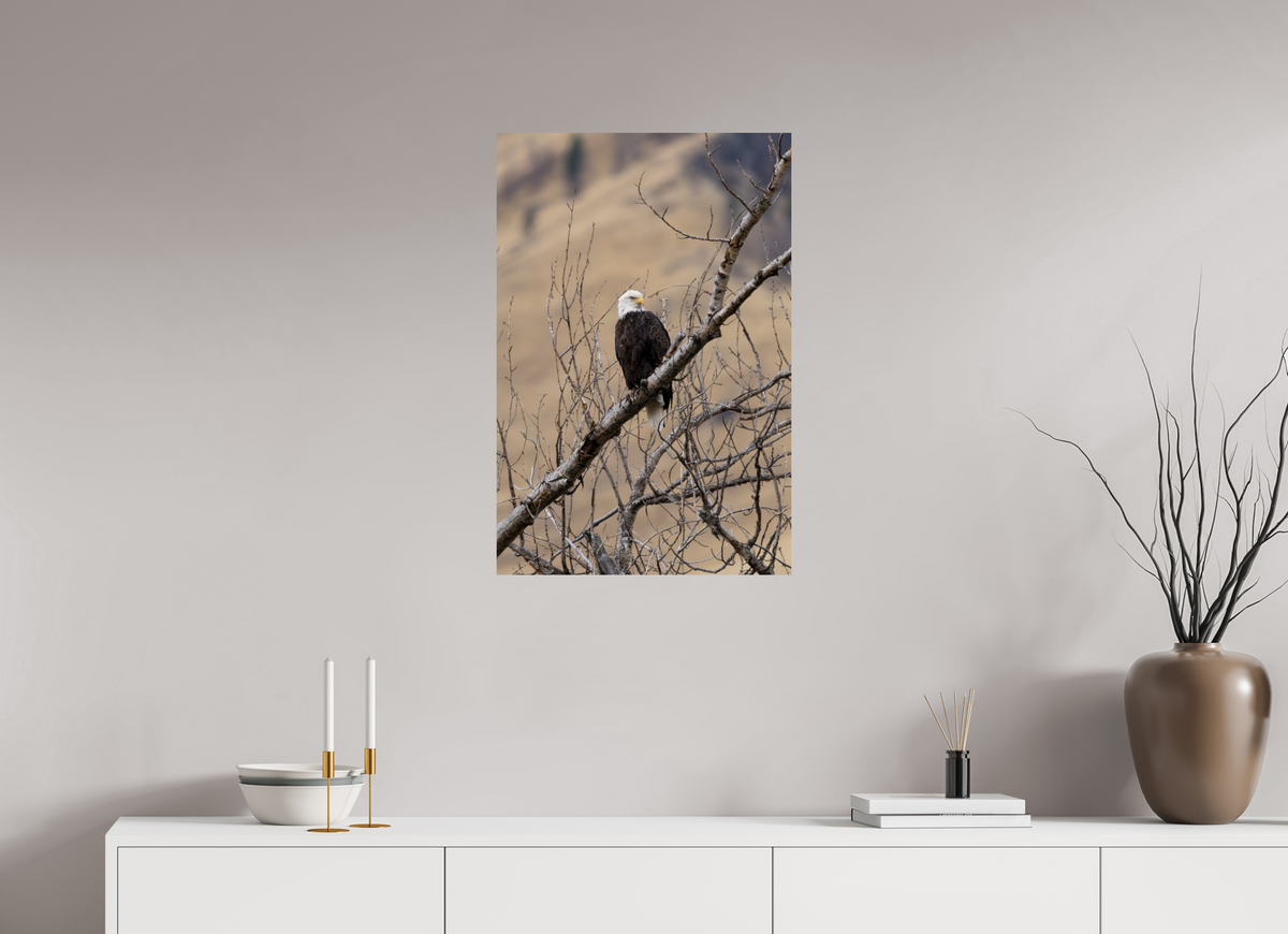 20 x 30″, Photo Print On Fuji Crystal DP II Eagle