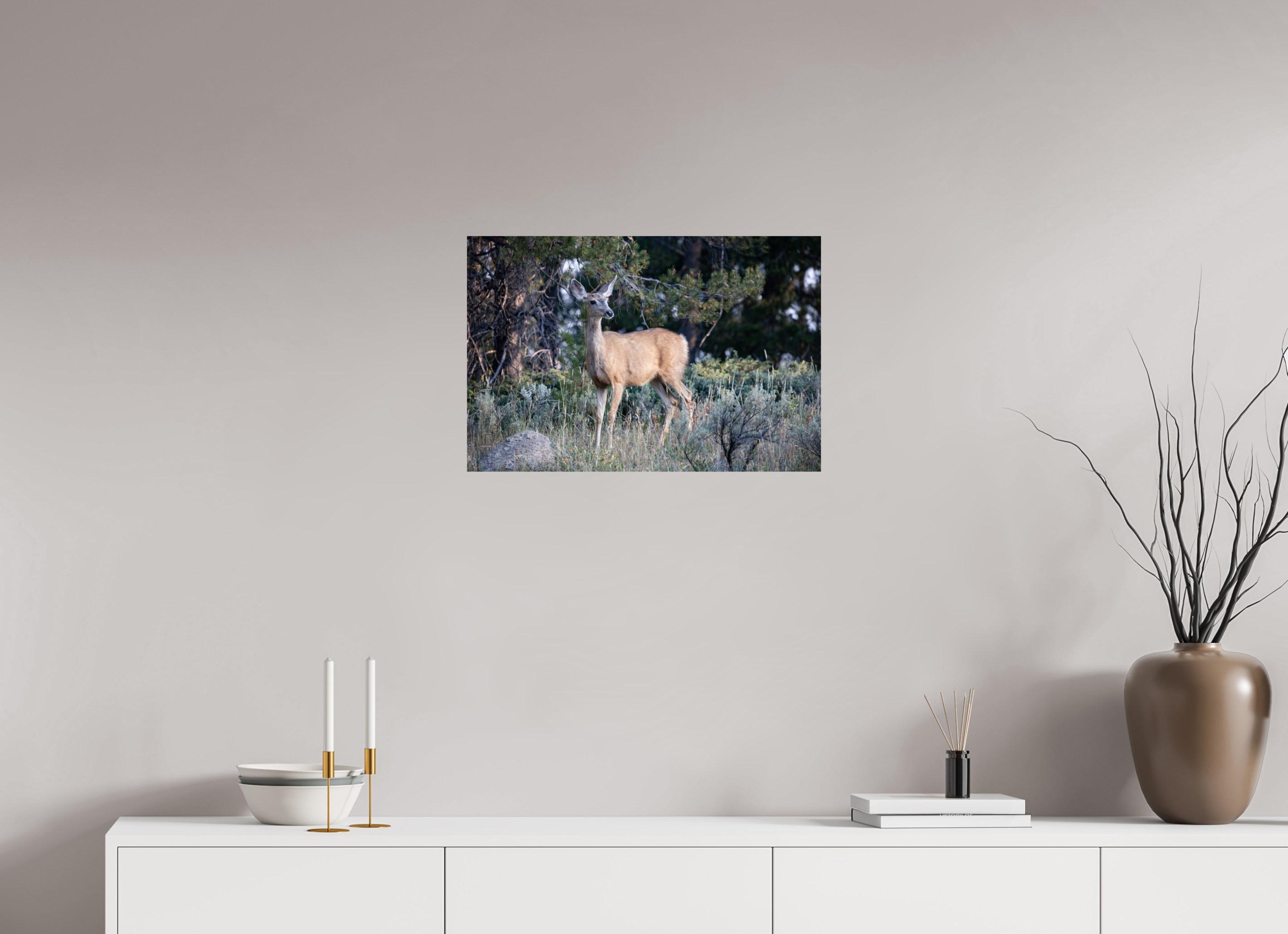 24 x 16″, Photo Print On Fuji Crystal DP II Deer