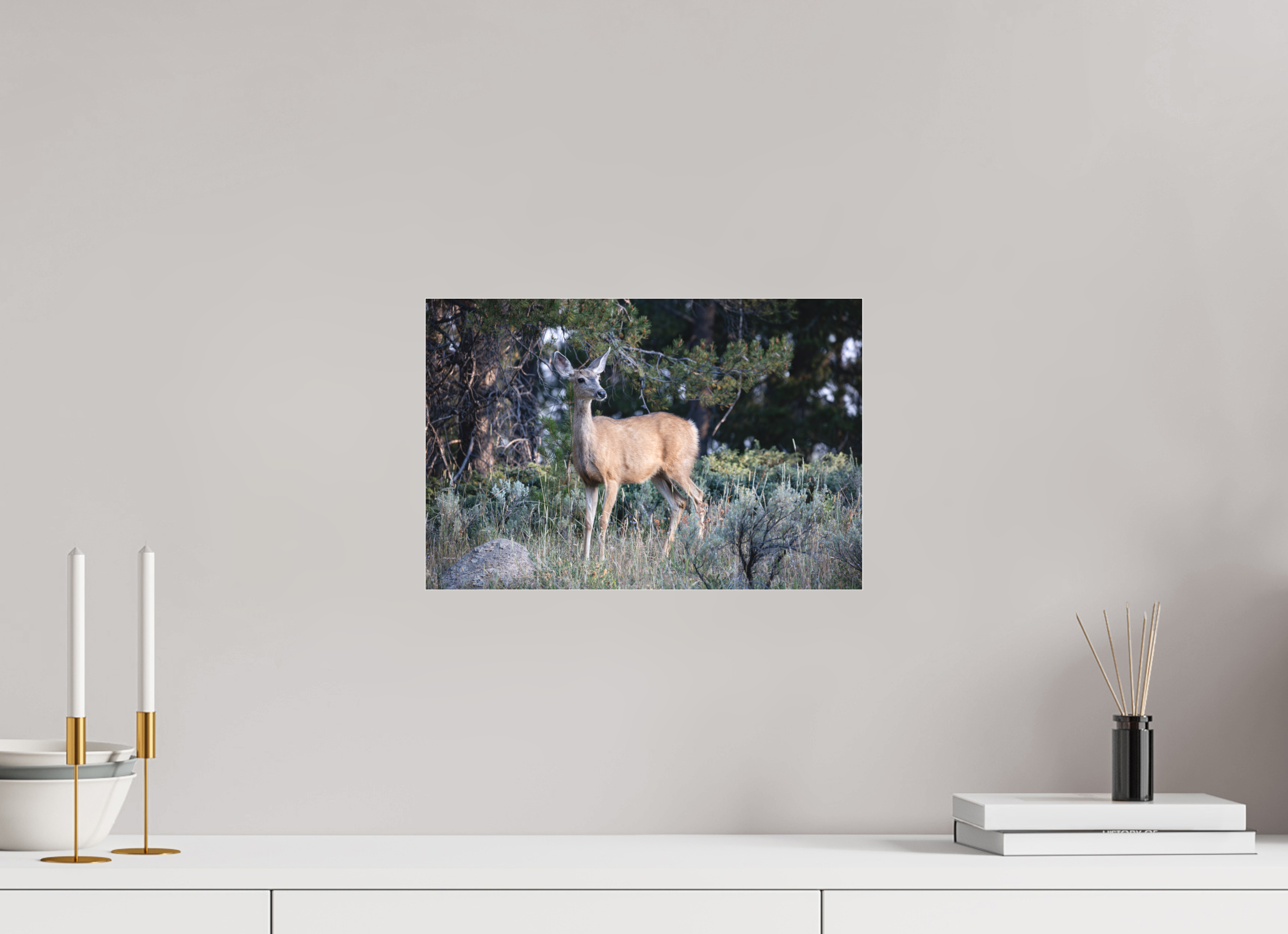 15 x 10″, Matte Glass Deer