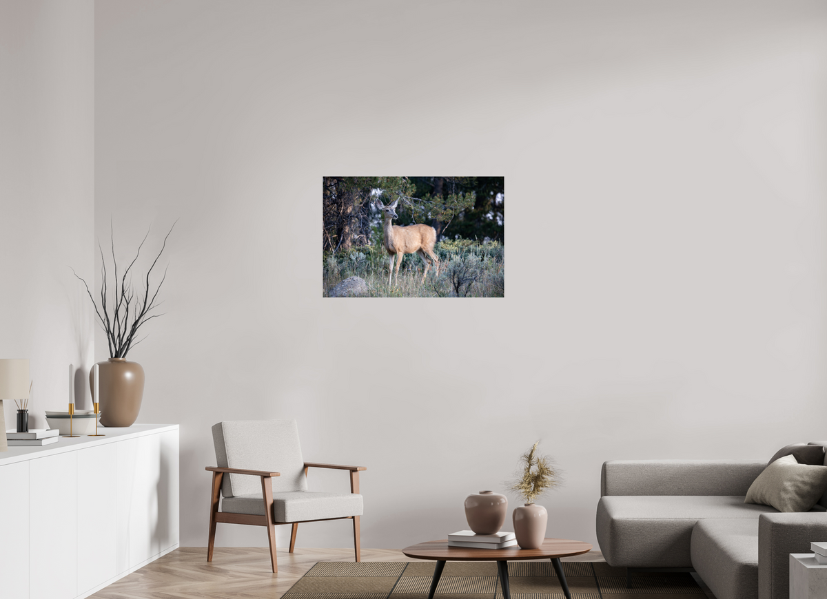 36 x 24″, Glossy Deer