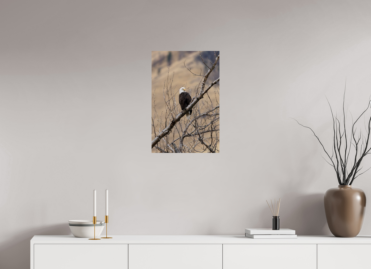 16 x 24″, Photo Print On Fuji Crystal DP II Eagle