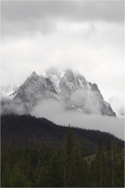 Main image Foggy Redfish Lake Mountain View