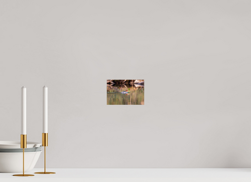 6 x 4″, Photo Print On Fuji Crystal DP II Duck