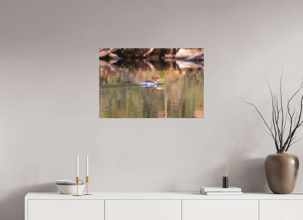 30 x 20″, Matte Glass Duck