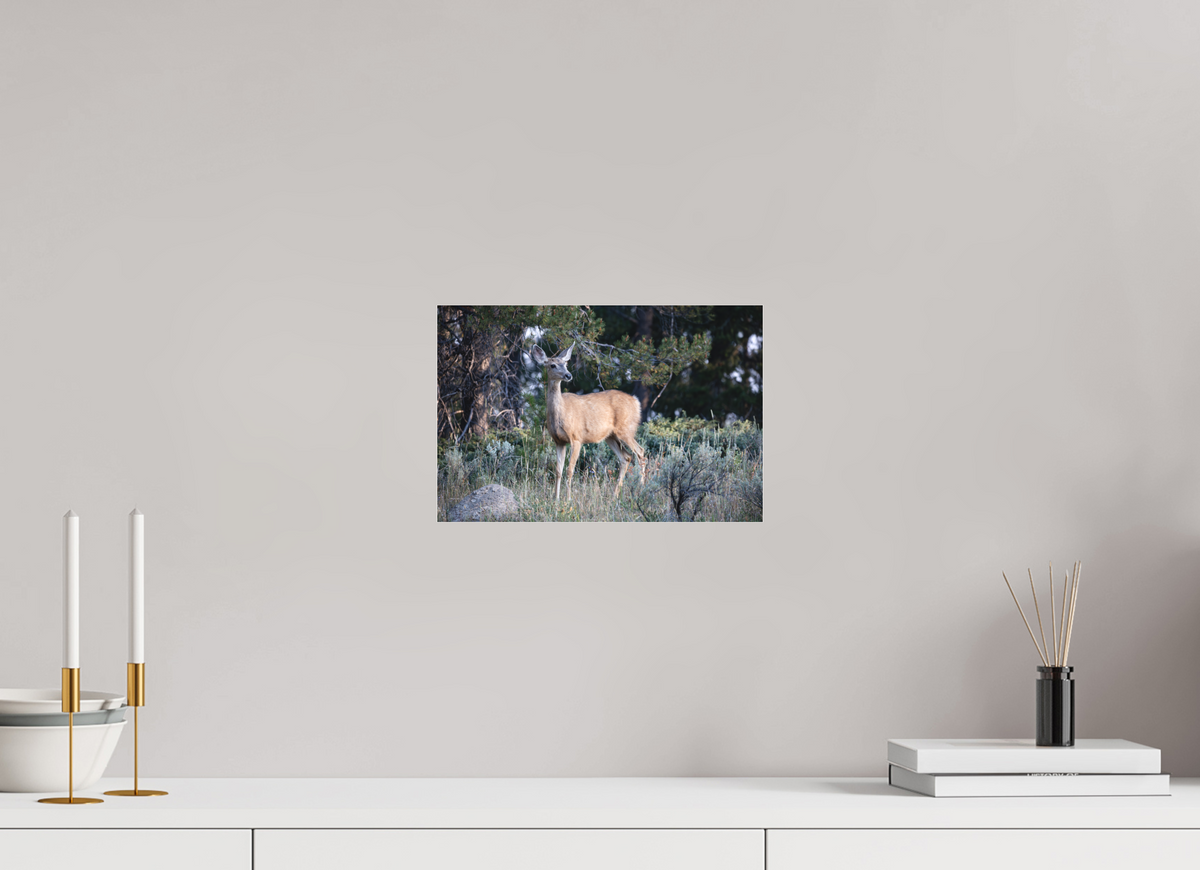12 x 8″, Matte Glass Deer