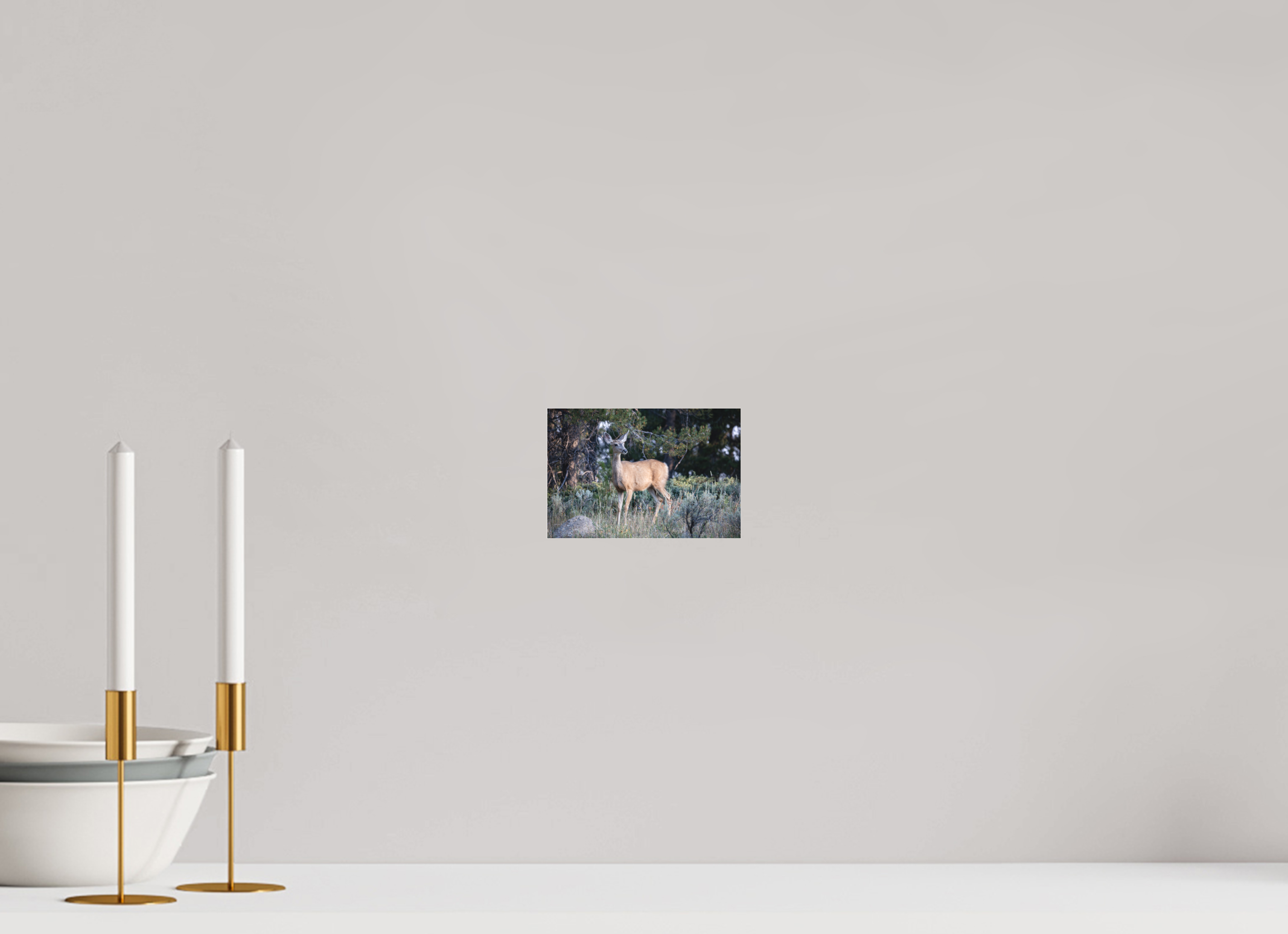 6 x 4″, Matte Glass Deer