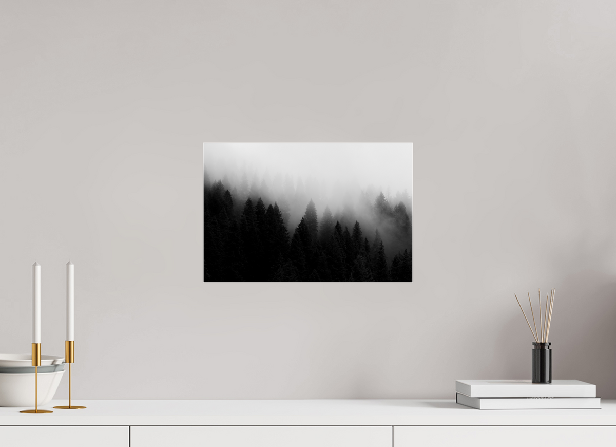 15 x 10″, Glossy Tree in Fog