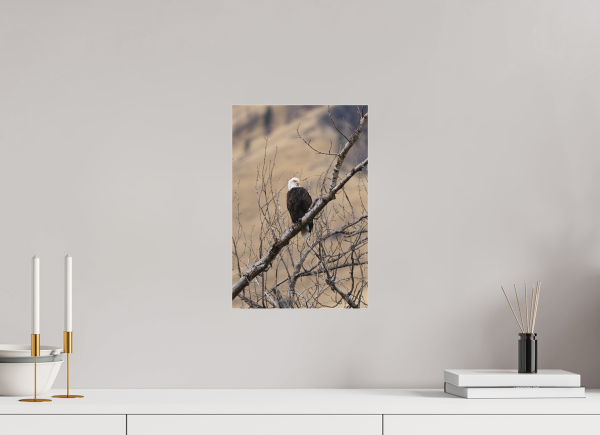 10 x 15″, Matte Glass Eagle