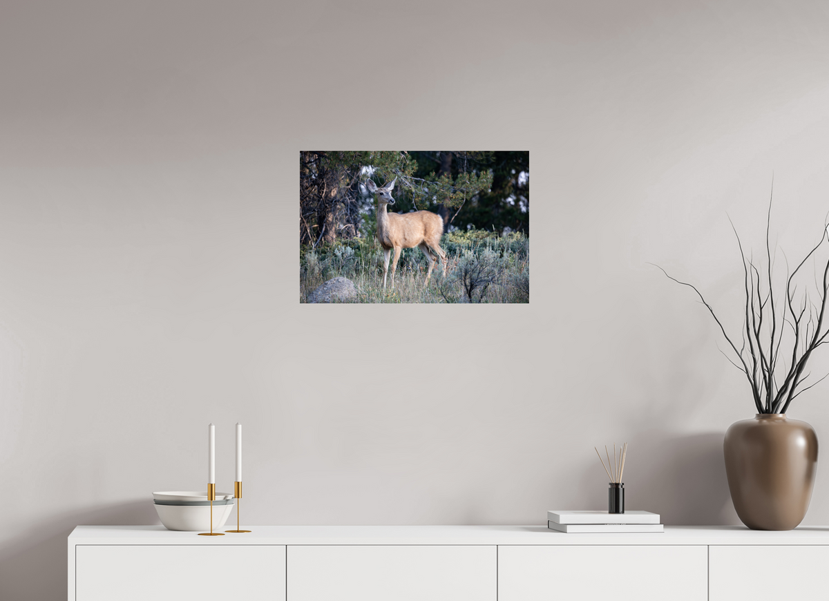 24 x 16″, Glossy Deer